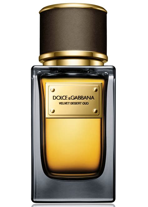 dolce gabbana parfum homme velvet|dolce and gabbana perfume price.